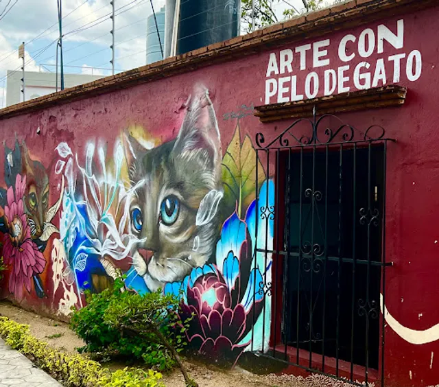 La Selva De Los Gatos