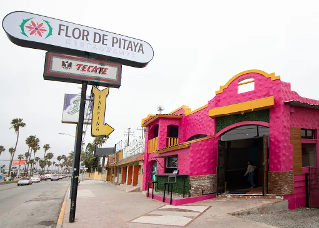Flor de Pitaya