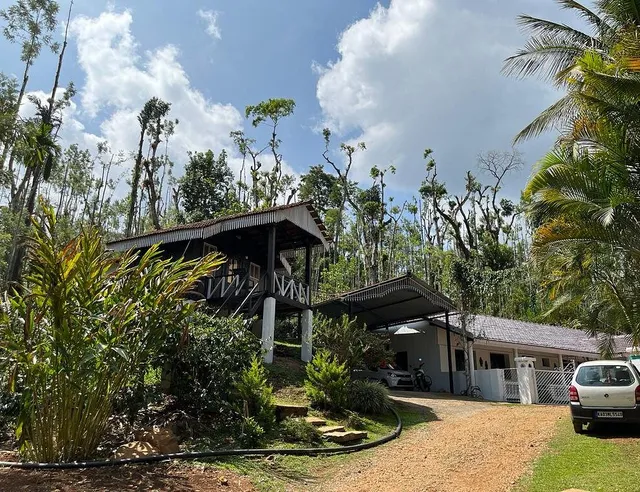 Jungle Greens Chikmagalur Homestay