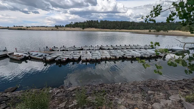 Big Lake Tackle and Supply