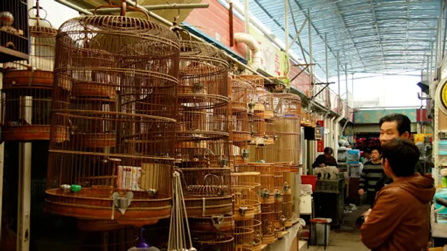 Bird and Flower Market