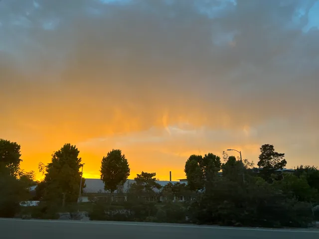 Google 1225 Crossman