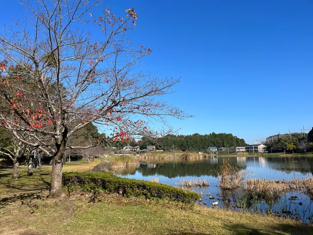 Odoike Park Parking Lot