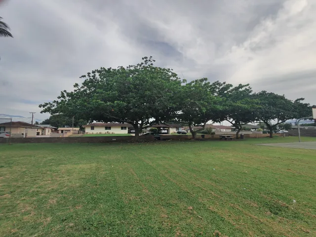 Kamalii Park