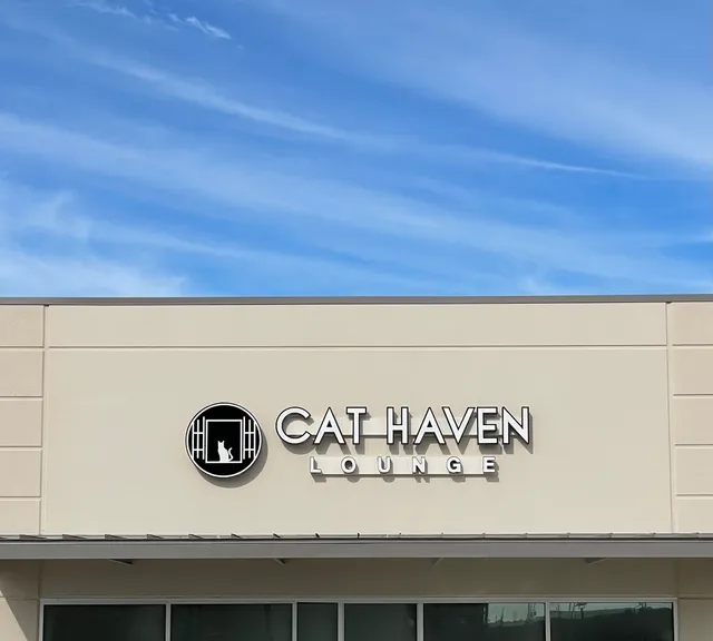 Cat Haven Lounge