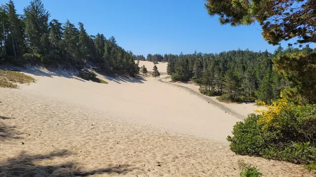 Dunes Trailhead
