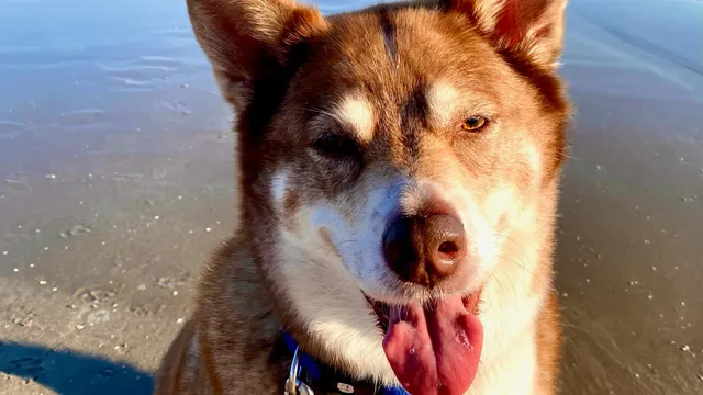 Salt Water Gift Shop & Golf Cart Rental