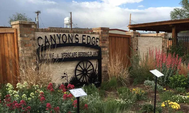 Canyon's Edge Plants