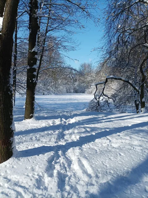 photo-1