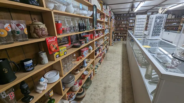 Everything Under the Sun