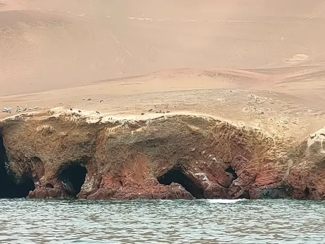 Islas ballestas paracas