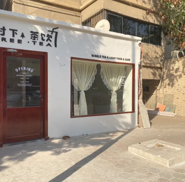 树下.茶饮 tree.tea