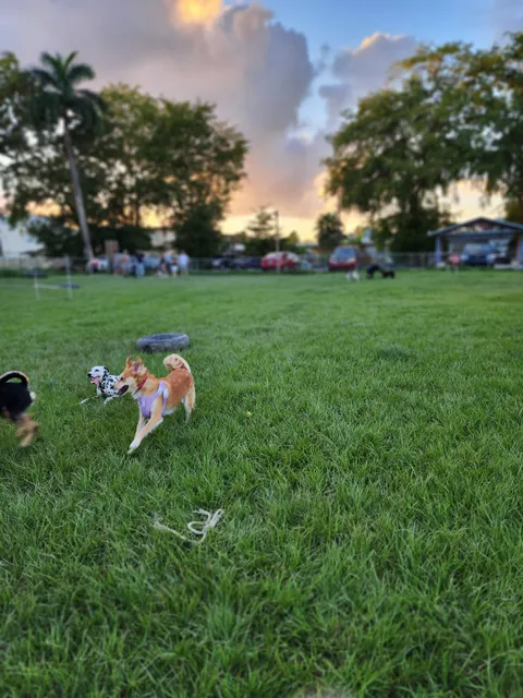 University Villa Park - Grassroots Dog Park