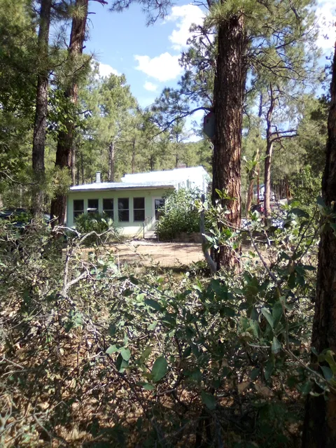 Roofers of the Southwest