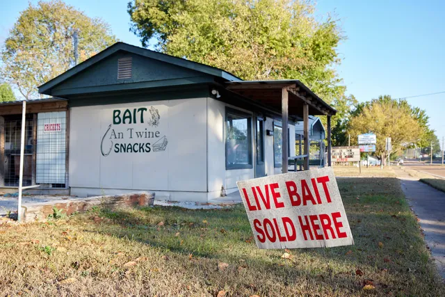 Bait An Twine Snacks