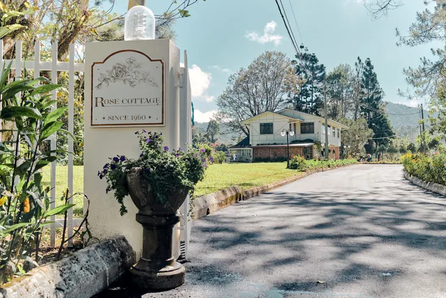 Rose Cottage by De’La Ferns