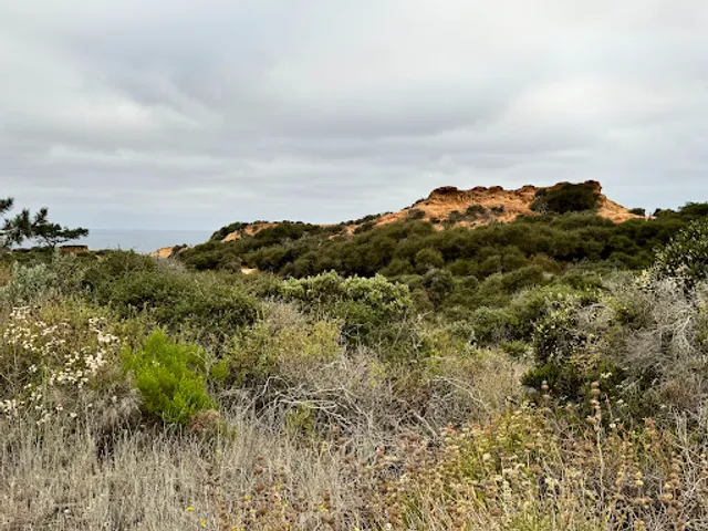 Torrey Pines