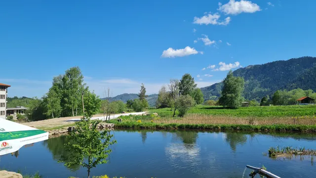 Complex Fishing "fall"