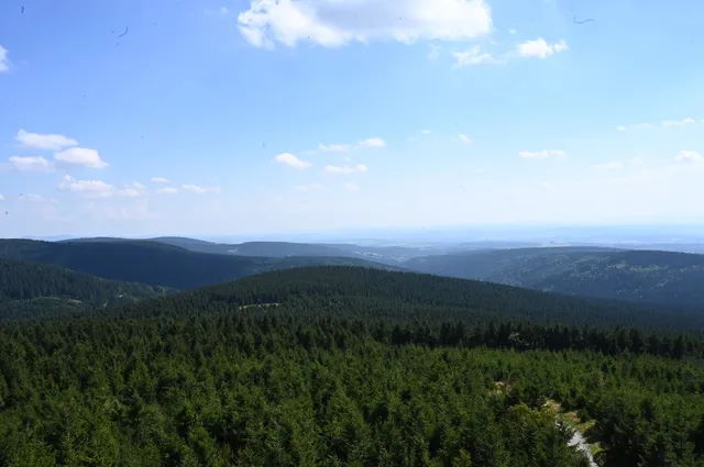 Strażnica pod Lasem