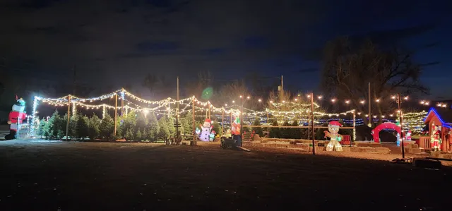 4 Seasons Marketplace - Christmas Trees - Wreaths - Garland - Stands