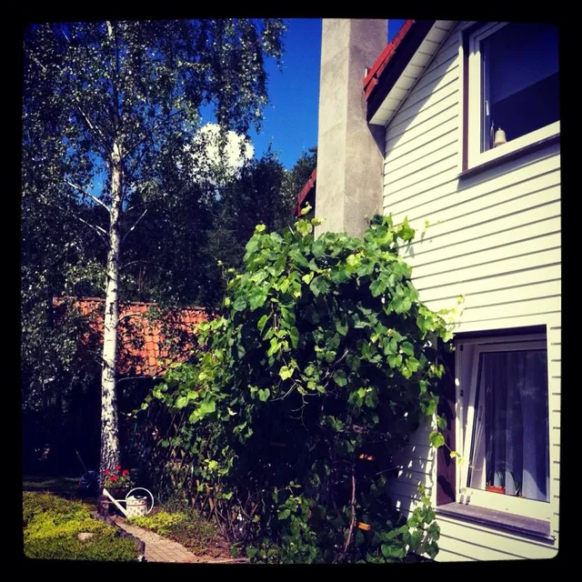 Wypoczynek na Kurpiach