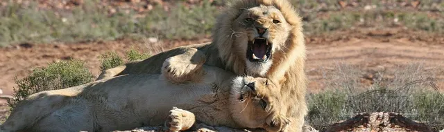 Aquila Collection Head Office