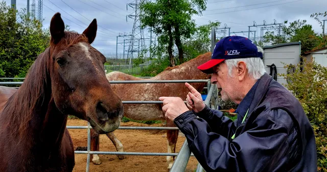 Whispering Creek Equestrian Center