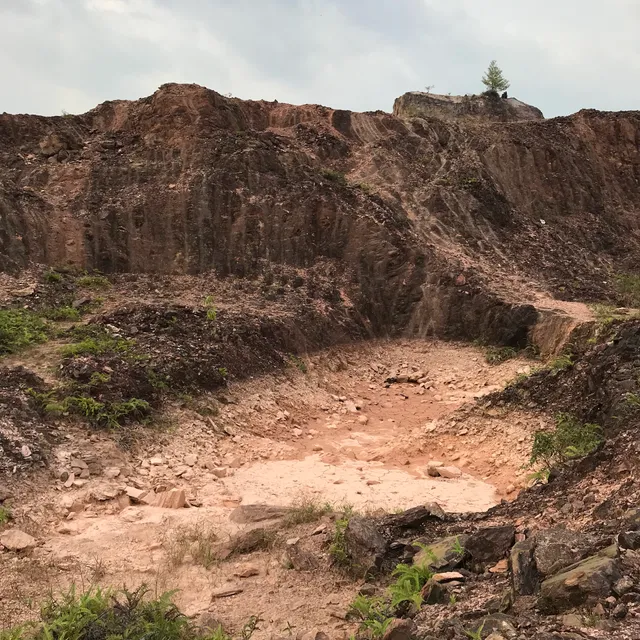 Lombong Kampung Jarak Atas @Frog Hill
