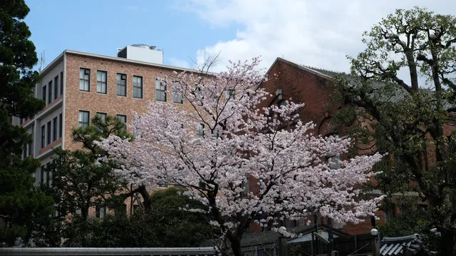 （公財）冷泉家時雨亭文庫