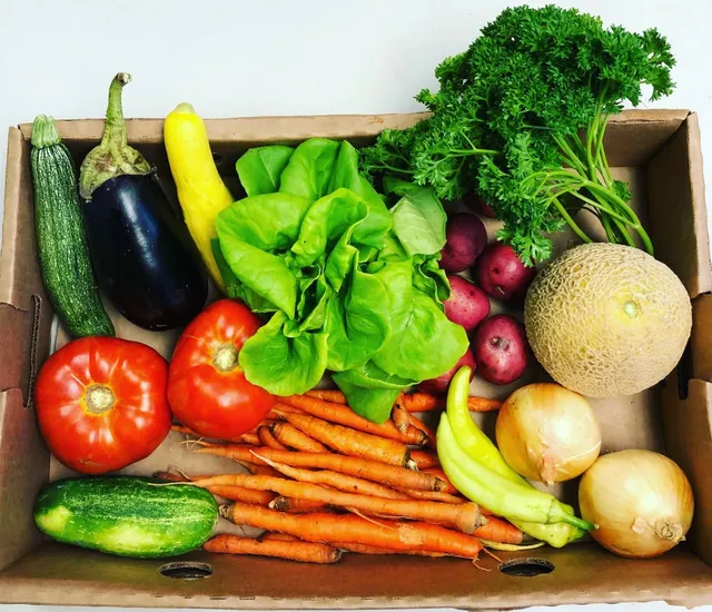 Farm Connection of North San Antonio, LLC