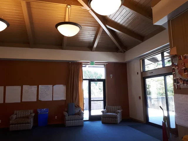 Enchanted Broccoli Forest