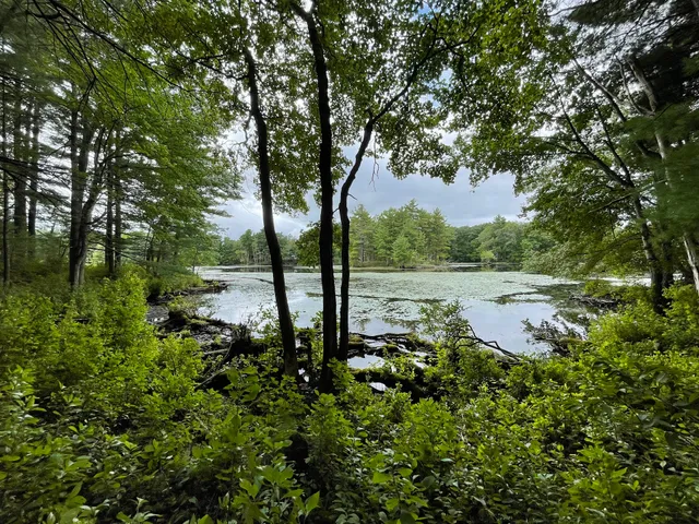 Mass Audubon's Pierpont Meadow Wildlife Sanctuary