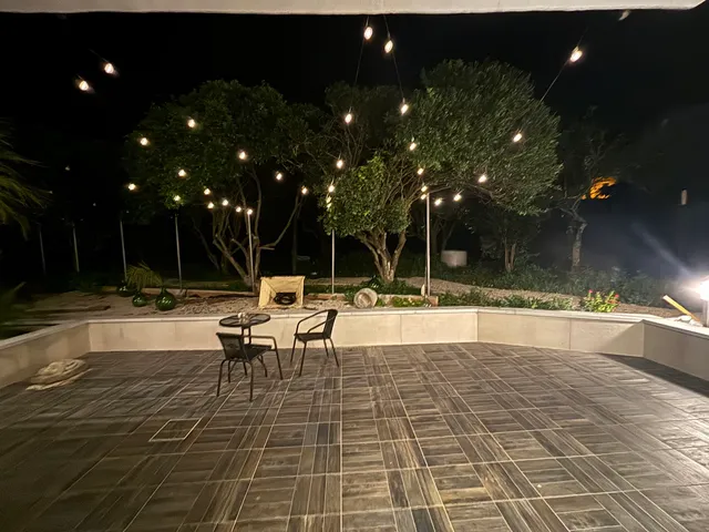 il Poeta nella Vigna