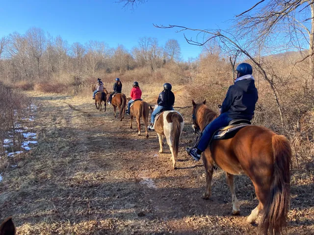 Marriott Ranch Trail Rides