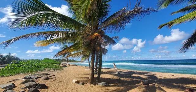 Terraplen LA POSITA BEACH RENTAL