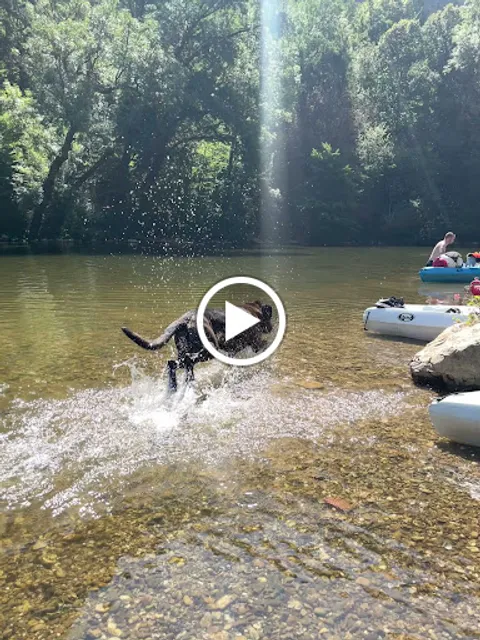 La plage des Robinsons