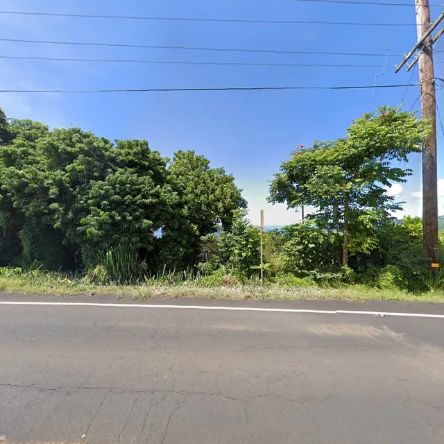 Solomon & Canaan's Kona Coffee Organically Grown