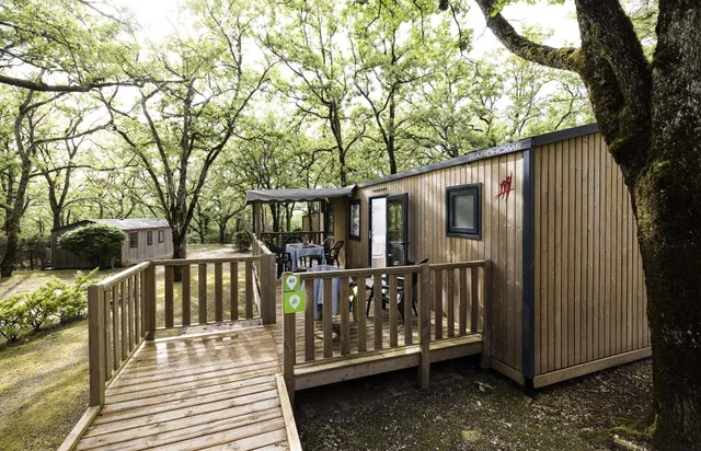 Camping Sites and Landscapes The Swallows