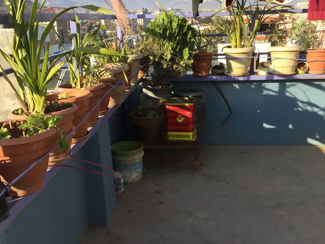 Nayabazar Family Homestay