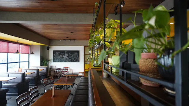 Cocoa Tree - Panampilly Nagar