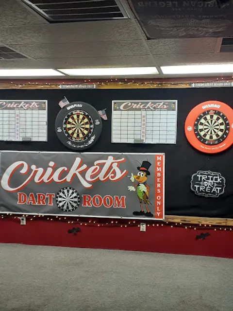 Crickets Dart Room
