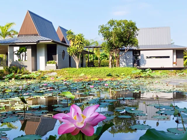 Chombua MaeWang (ชมบัว)