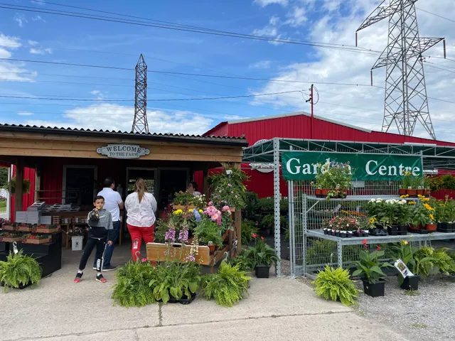 Niagara Strawberry And Fruit Farm