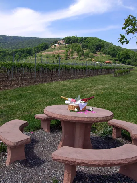 Weingut und Gästehaus Platz