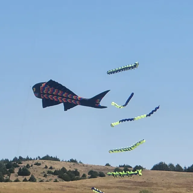 Foster Smith Field - Kite Flight Site