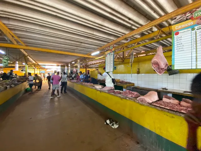 Mercado Agropecuario 19 y B