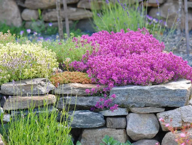 Nyhagens Trädgård och B&B