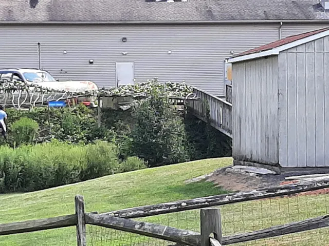 Golden China Restaurant