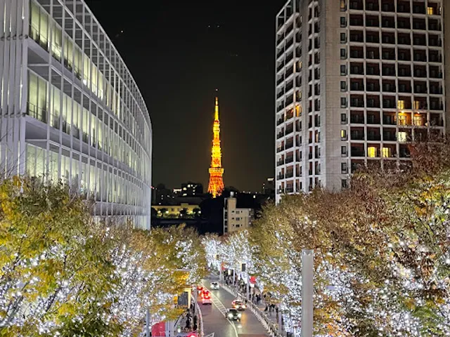 Roppongi Keyakizaka Dori