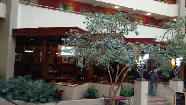 The Lamar Grill & Bar